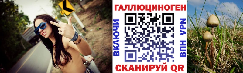 Псилоцибиновые грибы GOLDEN TEACHER  Калининец 