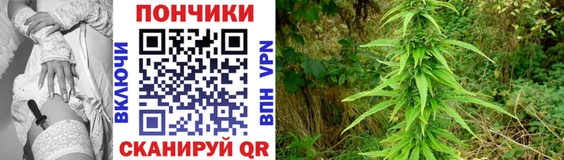 Бошки марихуана семена  где купить наркотик  Калининец 